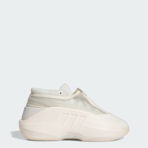 Crazy Iiinfinity Shoes